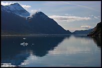 View looking out Tarr Inlet in the morning. Glacier Bay National Park ( color)