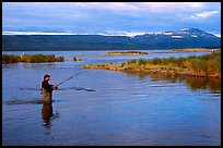 Man fishing for salmon in the Brooks river. Katmai National Park ( color)