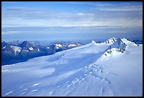 Aerial view of Harding icefield, fjords in the backgound. Kenai Fjords National Park, Alaska, USA.