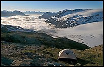 Camping in tent above glacier and sea of clouds. Kenai Fjords National Park, Alaska, USA.