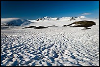 Snow cups and Harding icefield. Kenai Fjords National Park, Alaska, USA.