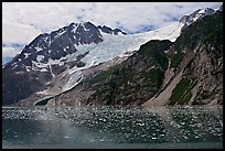 South side of fjord and icebergs, Northwestern Fjord. Kenai Fjords National Park, Alaska, USA. (color)