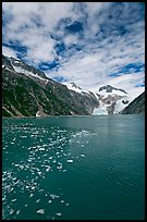 Northwestern Fjord. Kenai Fjords National Park, Alaska, USA. (color)