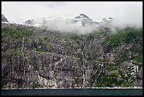 Wall of waterfalls streaming into Cataract Cove, Northwestern Fjord. Kenai Fjords National Park, Alaska, USA. (color)