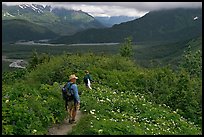 Hikers on Harding Icefield trail. Kenai Fjords National Park, Alaska, USA. (color)