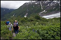 Women with child carrier backpacks on Harding Icefield trail. Kenai Fjords National Park, Alaska, USA. (color)