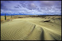 Ripples in the Great Sand Dunes. Kobuk Valley National Park, Alaska, USA. (color)