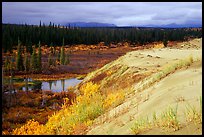 Edge of the Great Sand Dunes with tundra and taiga below. Kobuk Valley National Park ( color)