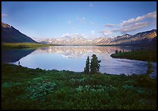 Twin Lakes with mountain reflections and green tundra, evening. Lake Clark National Park ( color)