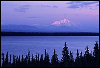 Mt Blackburn above Willow lake, sunset. Wrangell-St Elias National Park, Alaska, USA.