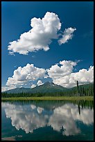 Puffy clouds reflected in lake. Wrangell-St Elias National Park ( color)