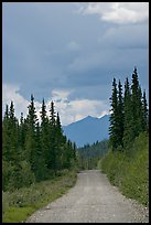 McCarthy road. Wrangell-St Elias National Park, Alaska, USA. (color)