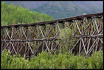 Section of Gilahina trestle constructed in 1911. Wrangell-St Elias National Park, Alaska, USA. (color)