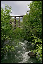 Gilahina River and trestle. Wrangell-St Elias National Park, Alaska, USA. (color)