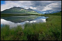 Grasses, lake, and mountains. Wrangell-St Elias National Park, Alaska, USA.