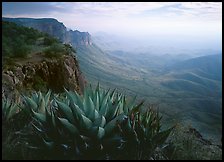 pictures of Big Bend National Park