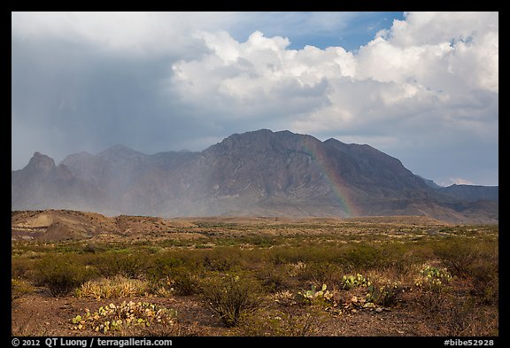Clearing storm, rainbow, and Chisos Mountains. Big Bend National Park, Texas, USA.