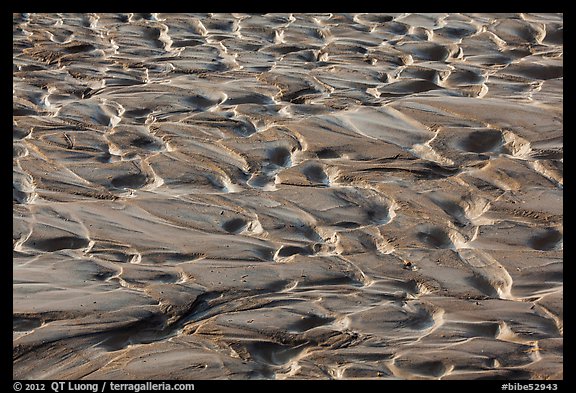Close up of muds. Big Bend National Park, Texas, USA.