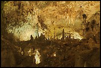Fairyland, Big Room. Carlsbad Caverns National Park, New Mexico, USA. (color)
