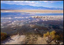 Shallow pond, reflections, and playa, Badwater. Death Valley National Park ( color)