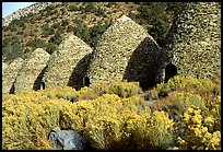 Charcoal Kilns near Wildrose. Death Valley National Park, California, USA. (color)