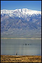 Tourist, ephemeral Loch Ness Monster in Manly Lake, and Telescope Peak. Death Valley National Park, California, USA.