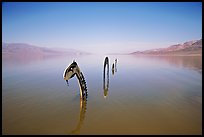 Loch Ness Monster art installation in rarissime seasonal lake. Death Valley National Park ( color)