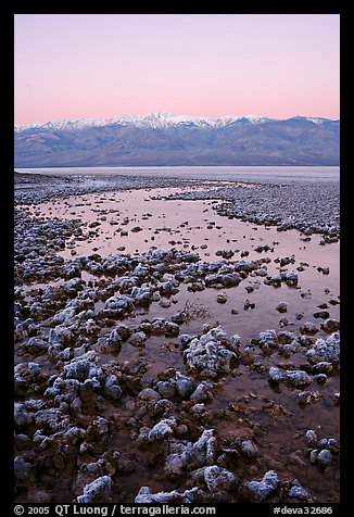 Recently emerged salt pools, Badwater, dawn. Death Valley National Park, California, USA.
