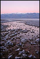 Recently emerged salt pools, Badwater, dawn. Death Valley National Park, California, USA.