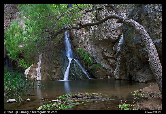Desert Oasis with Darwin Falls. Death Valley National Park, California, USA.