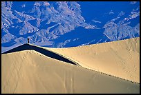 Hiker on sand dunes. Death Valley National Park, California, USA. (color)
