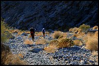Hikers in a side canyon. Death Valley National Park, California, USA. (color)