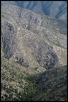 Forested ridges above Pine Spring Canyon. Guadalupe Mountains National Park, Texas, USA. (color)