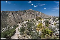 Hiker on trail above Pine Spring Canyon. Guadalupe Mountains National Park, Texas, USA. (color)