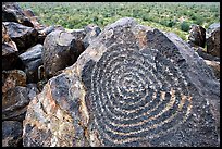Hohokam petroglyphs on Signal Hill. Saguaro National Park, Arizona, USA. (color)