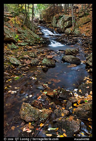 Stream in autumn. Acadia National Park, Maine, USA.