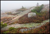 Summit of Cadillac Mountain during heavy fog. Acadia National Park, Maine, USA.
