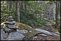 Cairn on trail, Isle Au Haut. Acadia National Park, Maine, USA. (color)