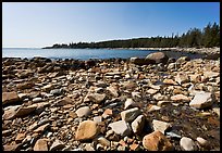 Stream on Barred Harbor beach, Isle Au Haut. Acadia National Park, Maine, USA.
