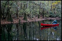 Man paddling a red canoe on Cedar Creek. Congaree National Park, South Carolina, USA. (color)