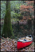 Red canoe on banks of Cedar Creek. Congaree National Park, South Carolina, USA.