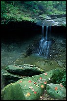 Blue Hen falls. Cuyahoga Valley National Park, Ohio, USA. (color)