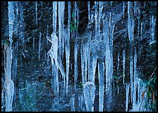 Icicles and rock wall. Great Smoky Mountains National Park, USA. (color)