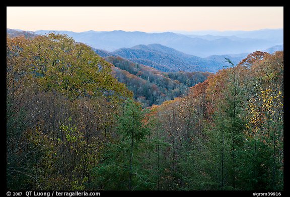 View over mountains in fall colors at dawn, North Carolina. Great Smoky Mountains National Park (color)