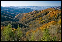 Vista of valley and mountains in fall foliage, morning, North Carolina. Great Smoky Mountains National Park, USA. (color)