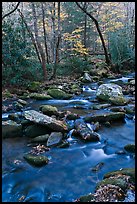 Stream in autumn, Roaring Fork, Tennessee. Great Smoky Mountains National Park, USA. (color)