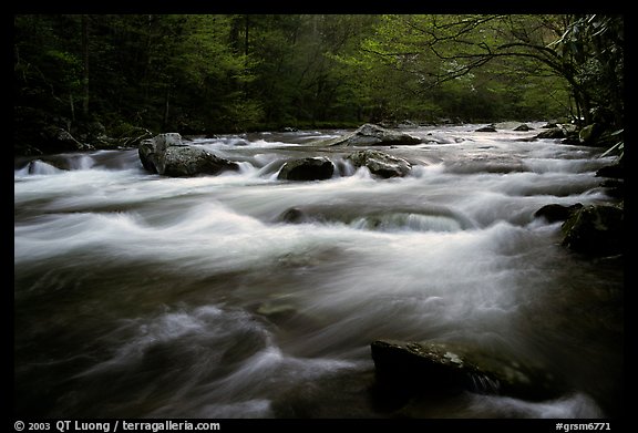 Little River flow, Tennessee. Great Smoky Mountains National Park (color)