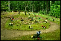 Pioneer Cemetery in forest clearing, Greenbrier, Tennessee. Great Smoky Mountains National Park, USA. (color)