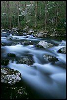 Boulders in flowing water, Middle Prong of the Little River, Tennessee. Great Smoky Mountains National Park, USA. (color)
