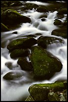 Stream flowing over mossy boulders, Roaring Fork, Tennessee. Great Smoky Mountains National Park, USA.